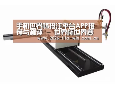 案例展示一