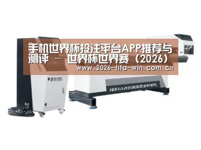 案例展示三