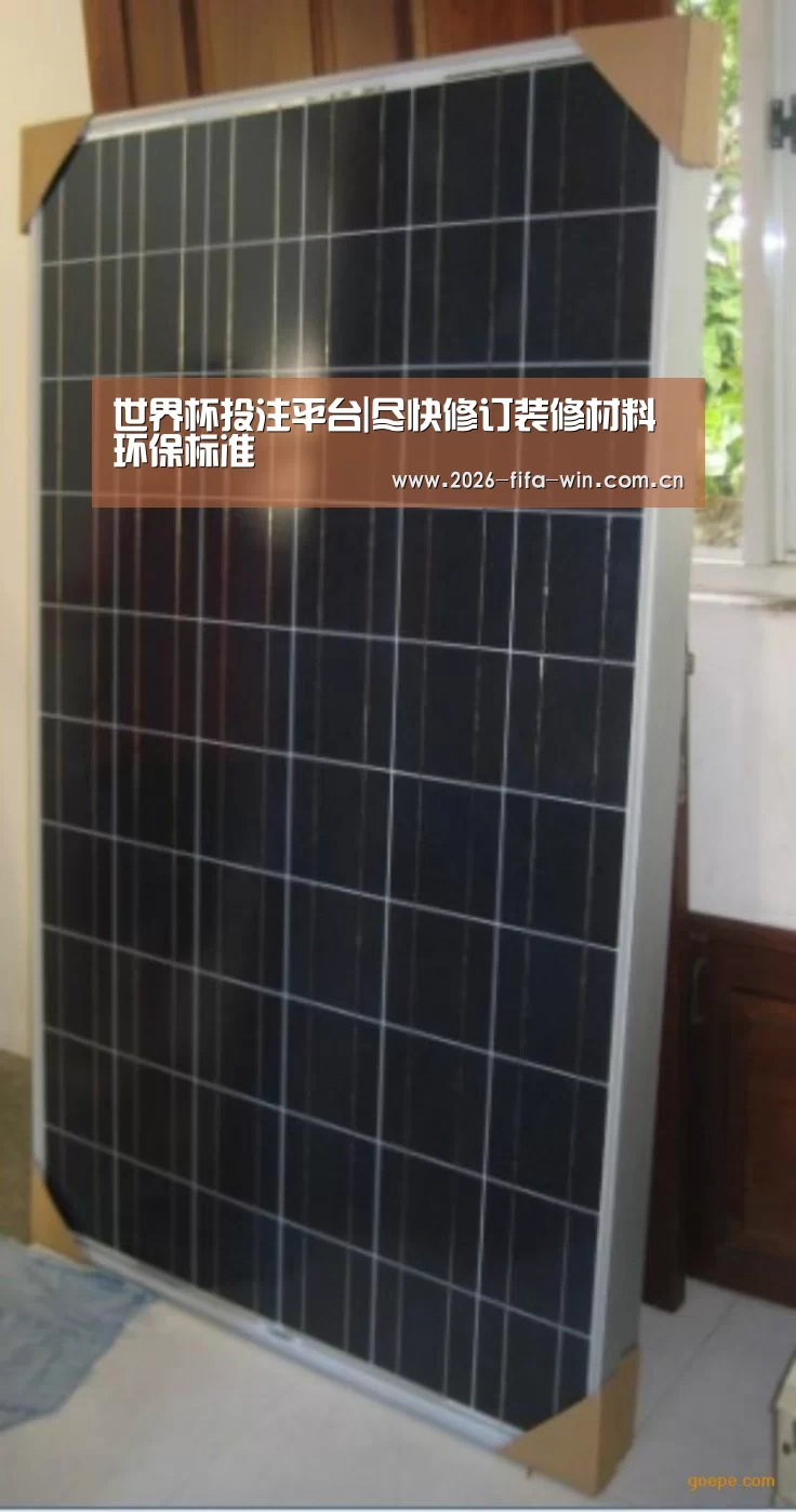 投注app